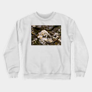 Springtime blossom Crewneck Sweatshirt